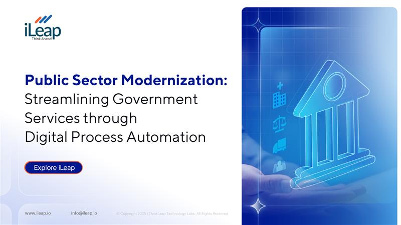 Public Sector Modernization